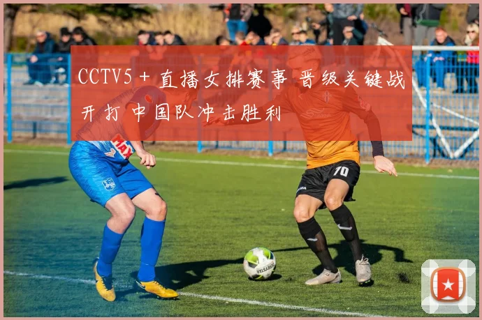 CCTV5＋直播女排赛事 晋级关键战开打 中国队冲击胜利
